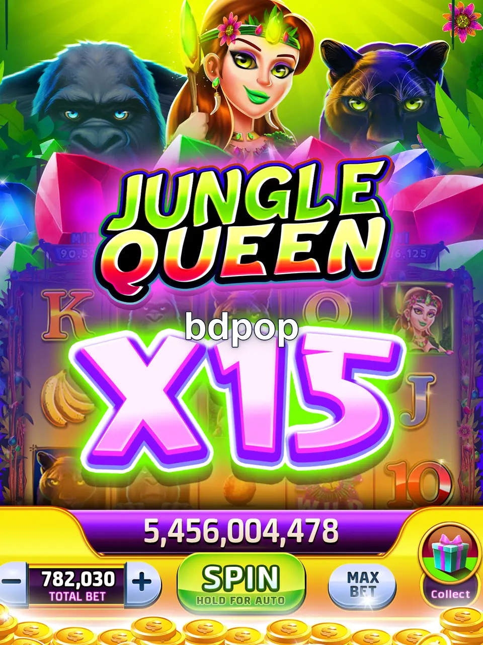 bdpop লগইন